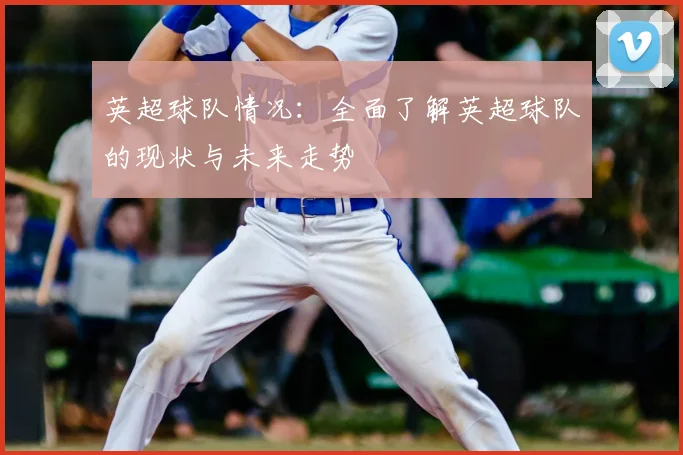 英超球队情况：全面了解英超球队的现状与未来走势