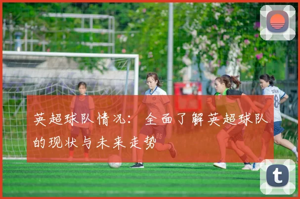 英超球队情况：全面了解英超球队的现状与未来走势