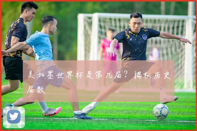 美加墨世界杯是第几届?揭秘历史届数